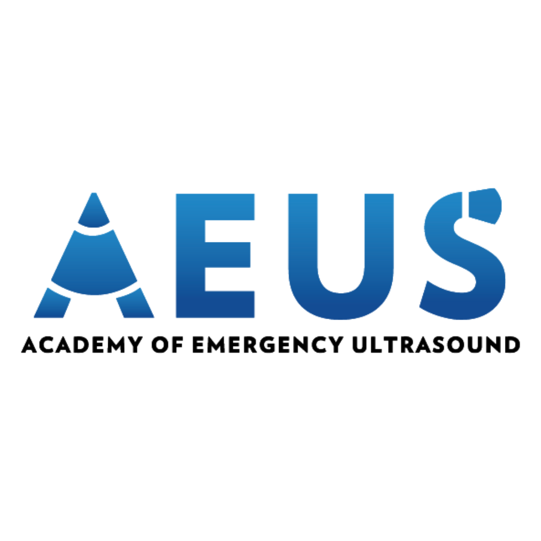 AEUS Narrated Lectures